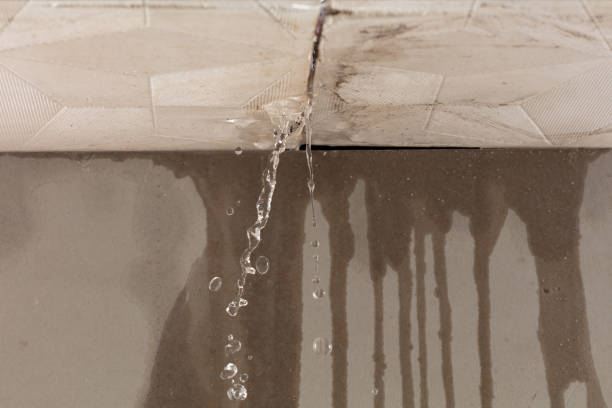 Professional Sewage Cleanup technician working in Beaverdam, OH